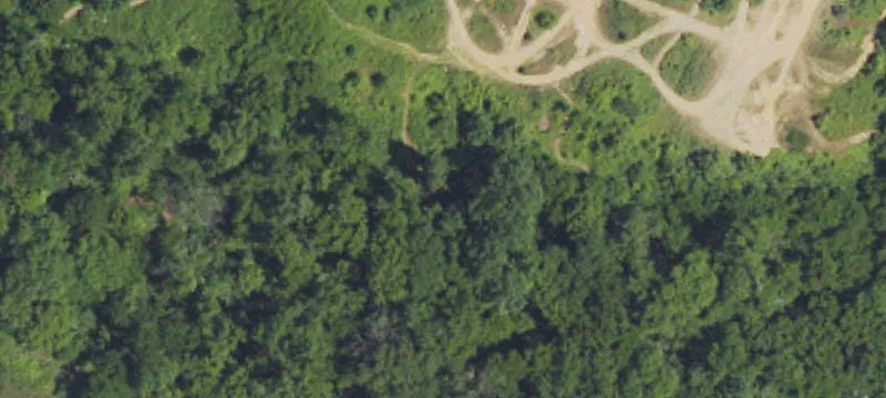 Indian Vlg