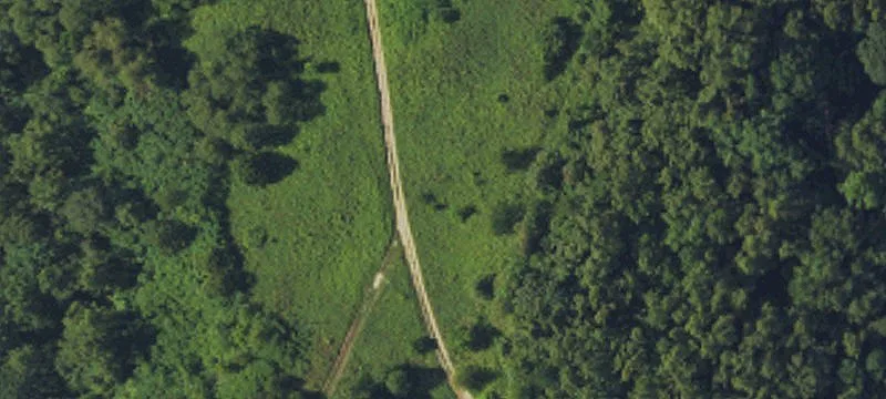 Long Br