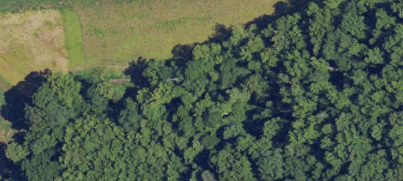 1369 State Rte 132nd W