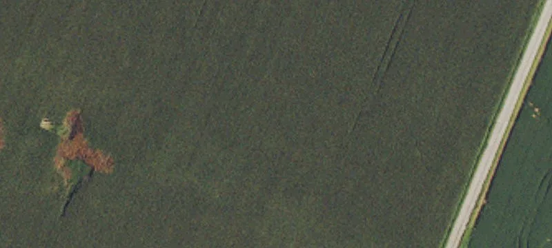Anton Rd