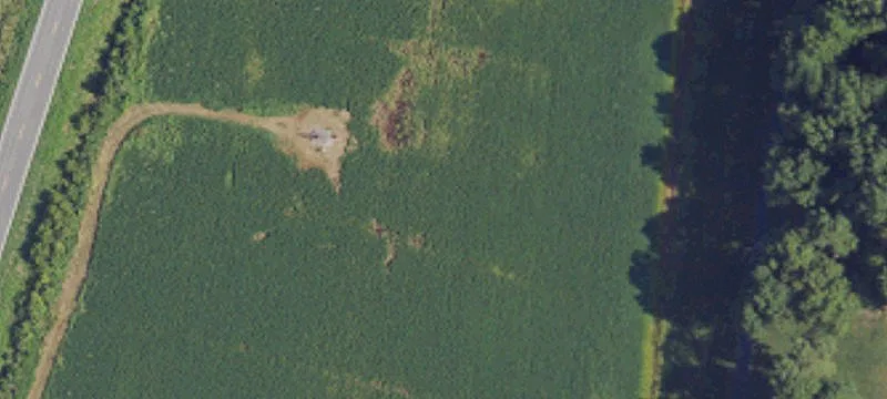 Us 431
