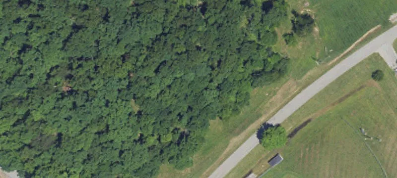 2900 Pigeon Roost Rd