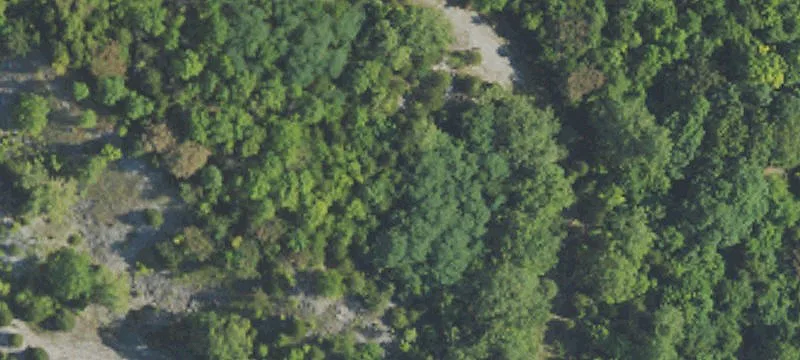 830 3rd Rivers Quarry Rd