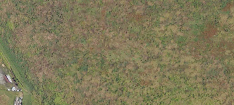 Poole Rd