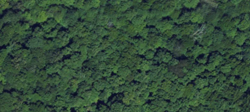 Concord Ct