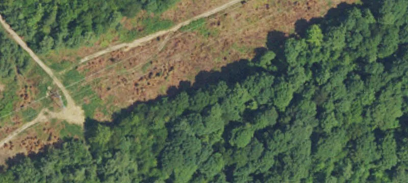 Kuttawa, KY 42055