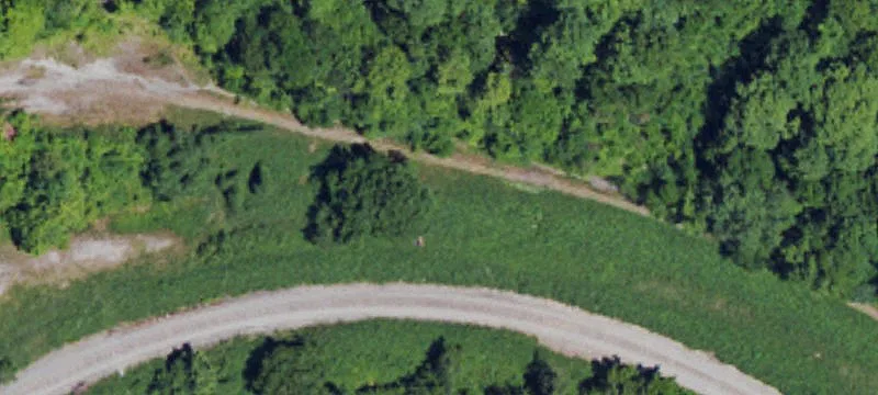 3498 Hwy 11