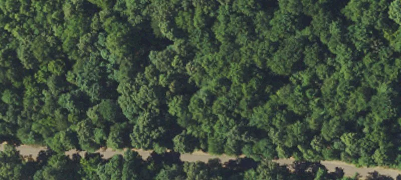 Hickory Rd