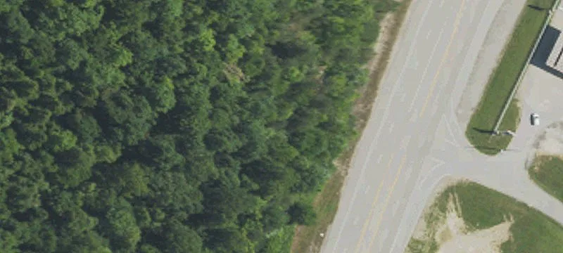 Mudlick Rd