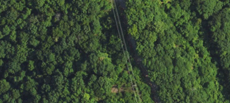 290 Stagecoach Rd
