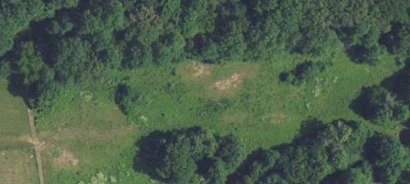 437 Montgomery Ml Rd