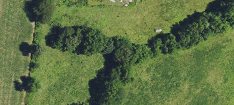 Bardwell, KY 42023