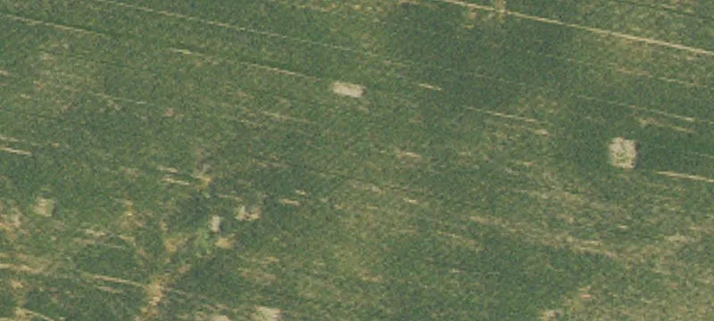 Coleman Crider Rd