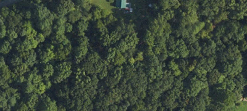Old Ekron Rd