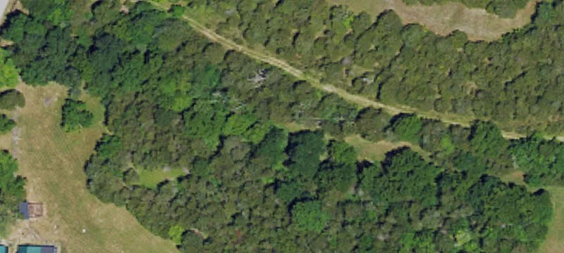 Johnson Rd