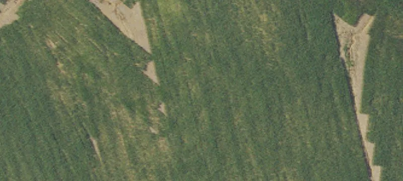 2500 Sharon Grv Rd