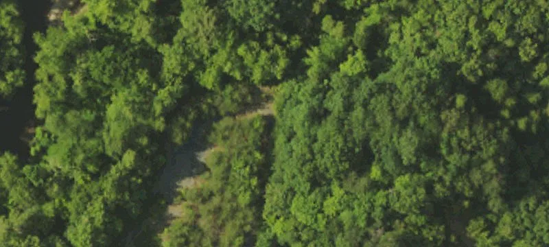 Us 119