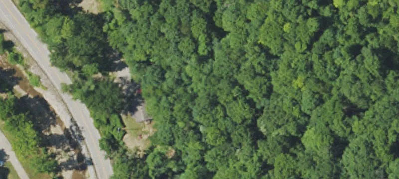 4901 Hwy 421