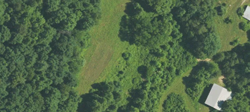 Wellington, KY 40387
