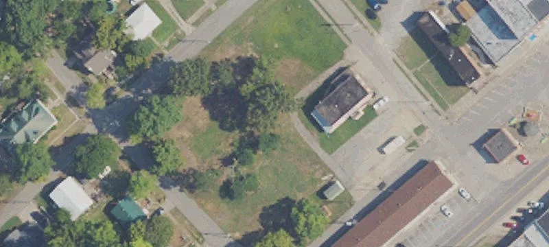 Sycamore