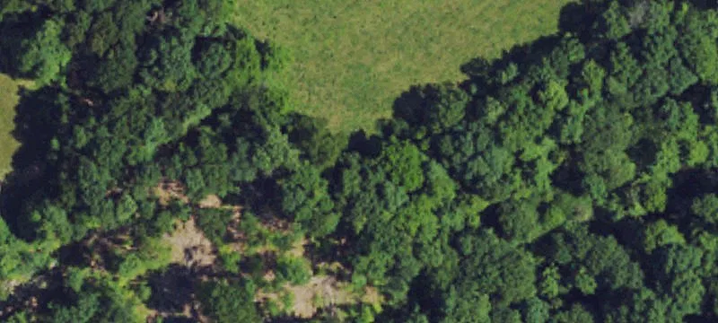 Windsor, KY 42565