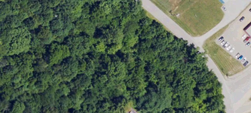 Mattingly Rd