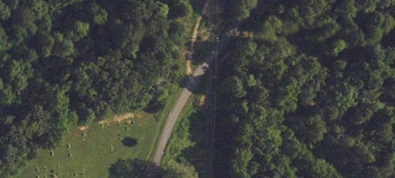 Wright Ln