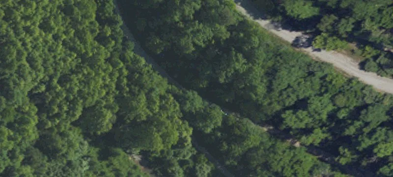 Walnut Fork