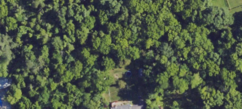 3007 Borowick Cir