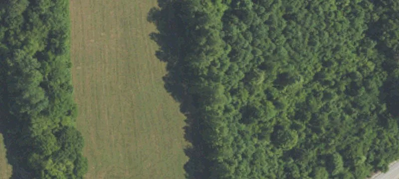 Airline Rd