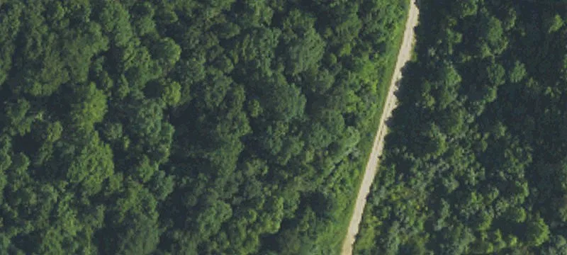 Sawmill Holw