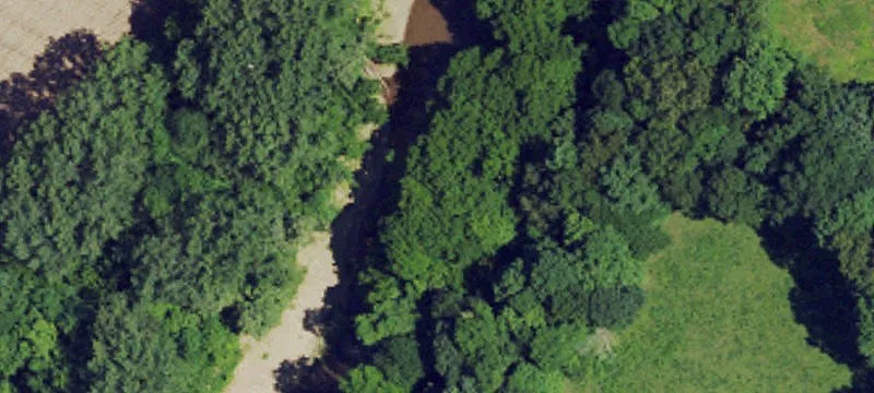 Gamaliel, KY 42140