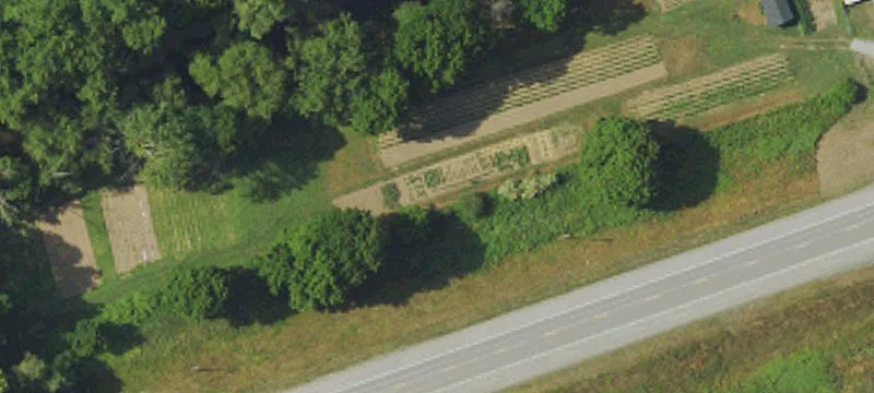Us 119