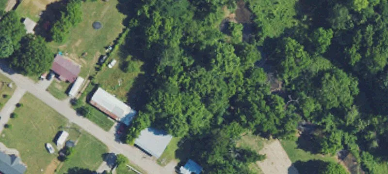 133 Frisby St