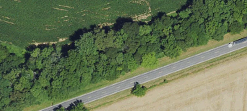 Paducah Rd