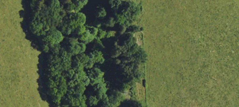 Gamaliel, KY 42140