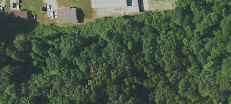 279 Us Hwy 421