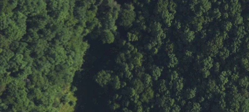 Poplar Thicket Rd