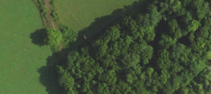 297 Fredonia Quarry Rd