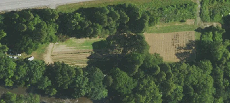 Us 119