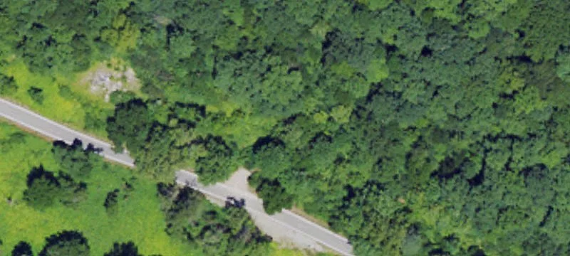 7353 Hwy 2000