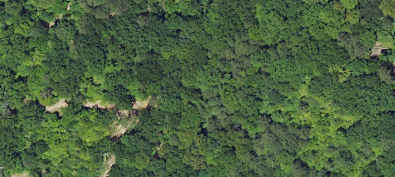 Payne Gap