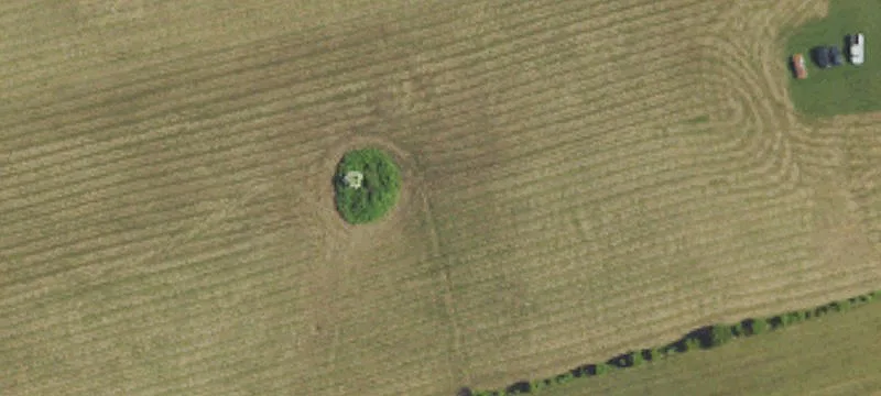 7165 Happy Vly Rd