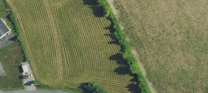 Meece Farms