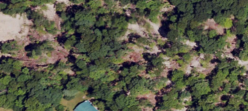 2491 Elk Cave Br Rd