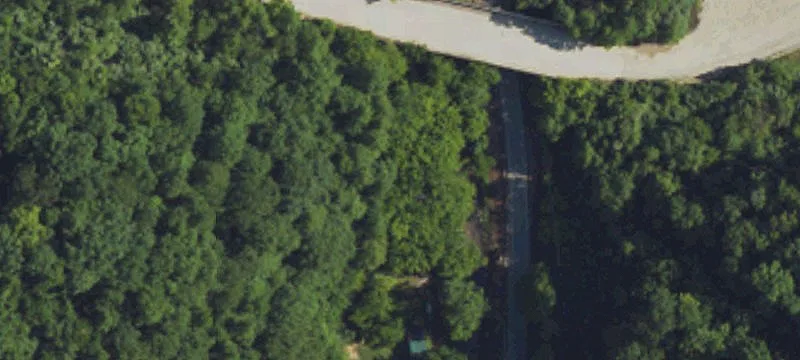 Pigeon Roost Rd