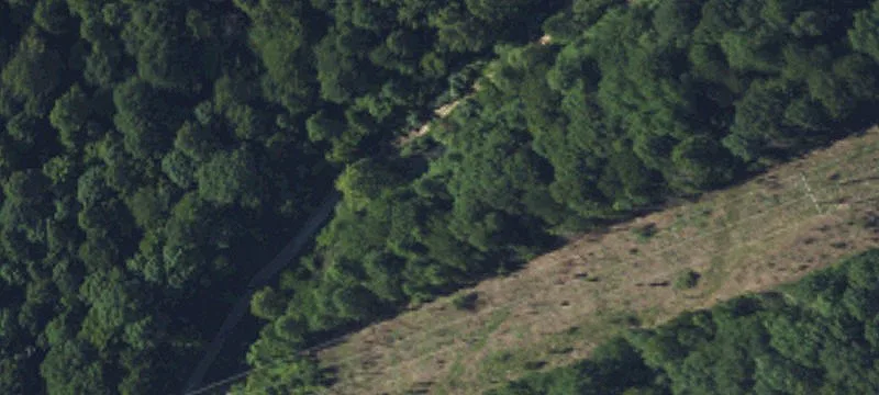 White Oak Rd