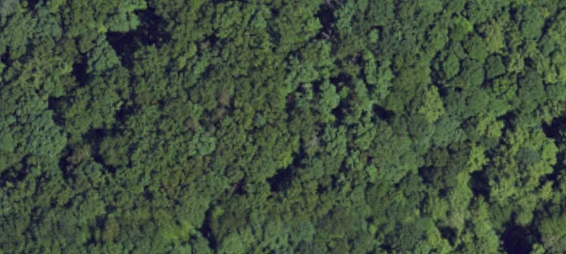 449 Natural Brg Rd