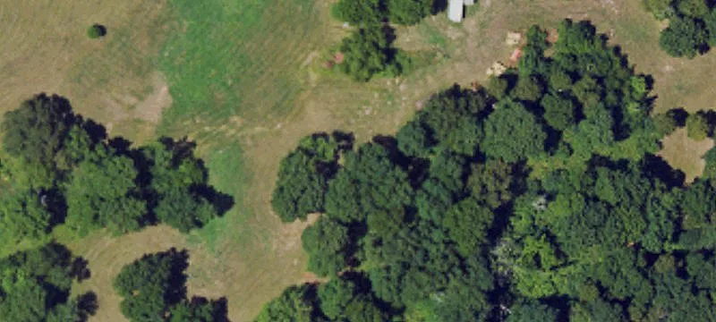 1481 Irl Scott Rd