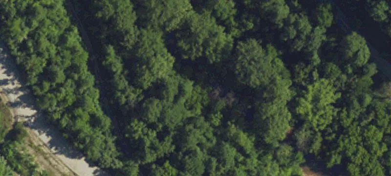 Pigeon Roost Rd